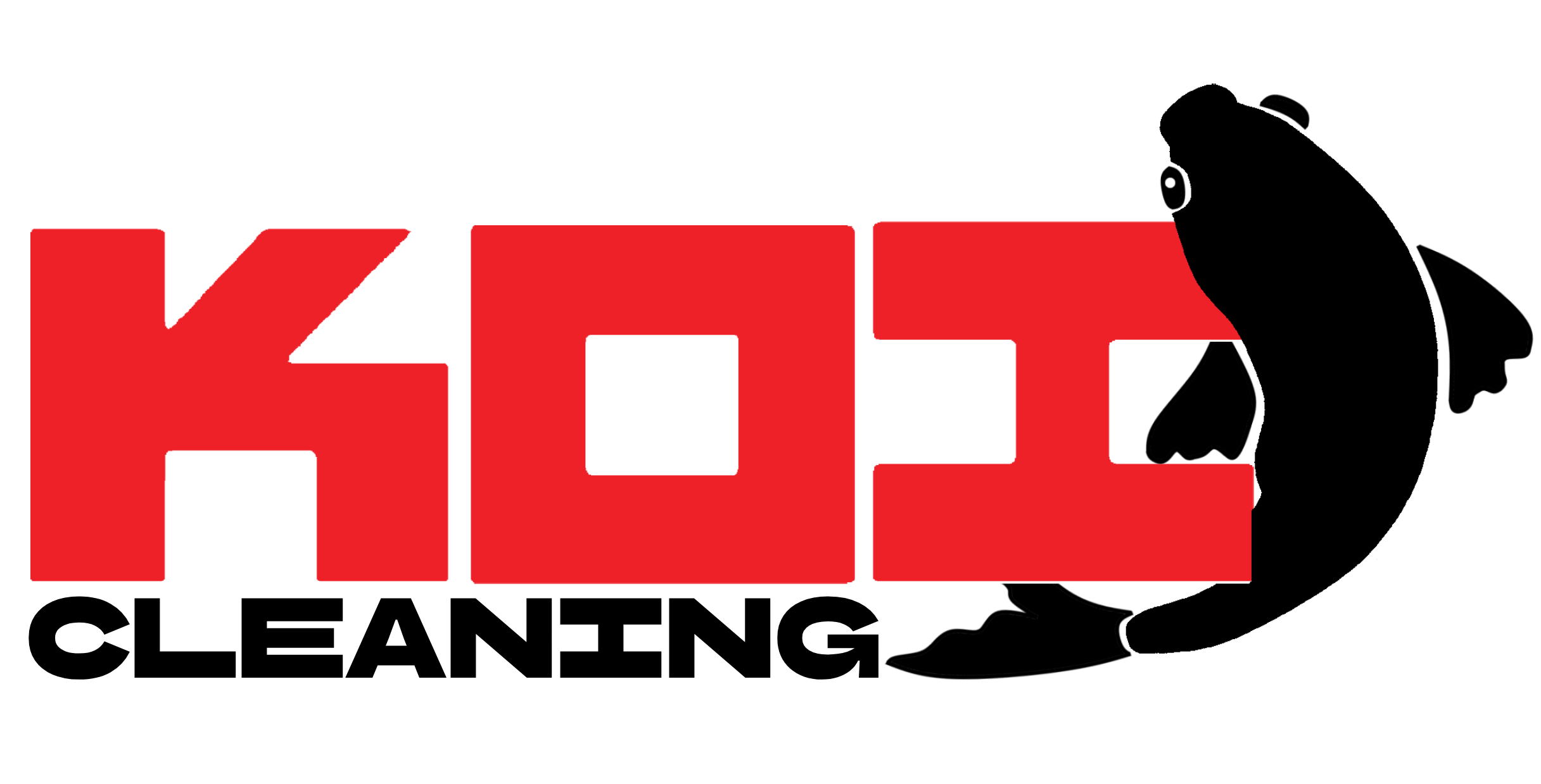 Koi Cleaning Services